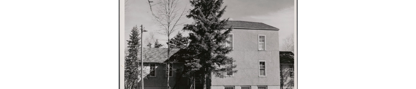 A two-story building among conifer trees