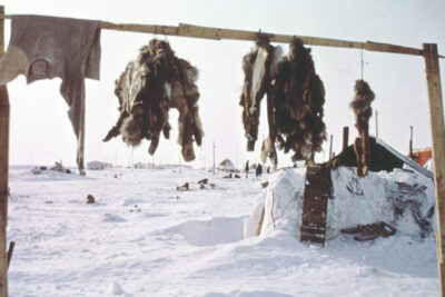 Animal furs and a shirt hanging on a wood structure.