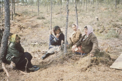 Four women sitting on the ground in a forested area with sparse, skinny trees.