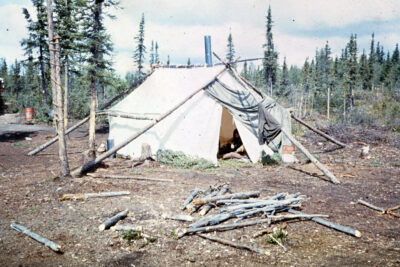 A white tent supported by long logs in a forest clearing.