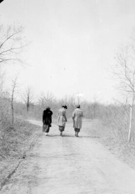 Three women walk down a tree-lined road.